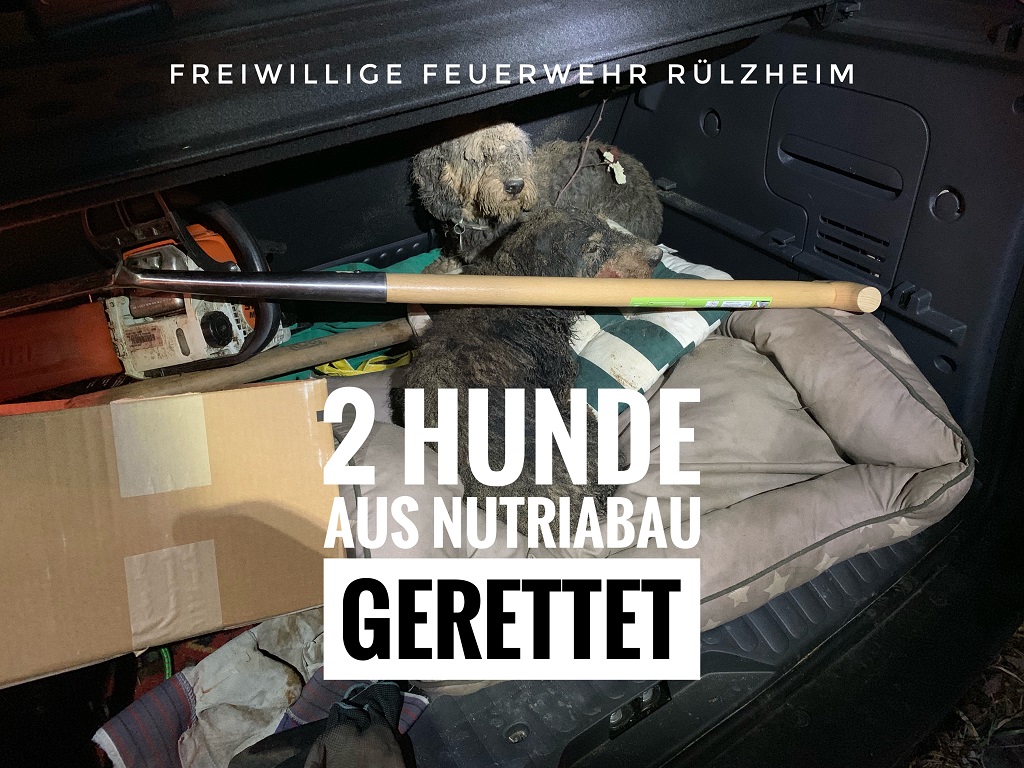 Die beiden Hunde nach erfolgreicher Rettung