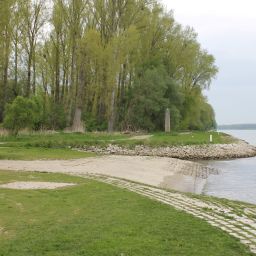 Bilder vom Rheinauenvorland