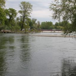Bilder vom Rheinauenvorland