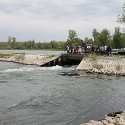 Bilder vom Rheinauenvorland