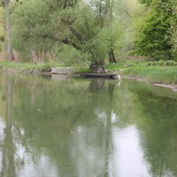 Bilder vom Rheinauenvorland