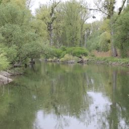 Bilder vom Rheinauenvorland