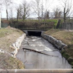 Raugerinne in Beckenstruktur an der ehemaligen Gleite unterhalb der B9 auf dem Gelände der Kläranlage Rülzheim