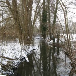 Blick entgegen Fließrichtung des Klingbach-Panzergrabens