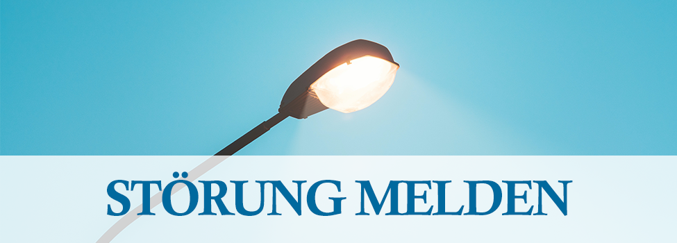 Headergrafik mit Text "Störung melden"