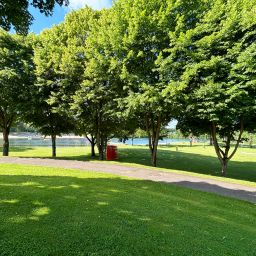 Bild vom Strandbad