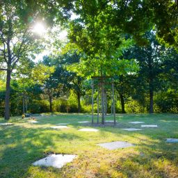Blick auf die Baumbestattungsfläche auf dem Friedhof Rülzheim