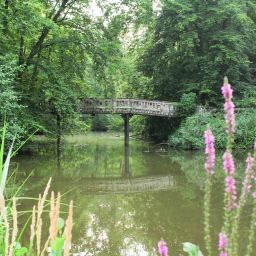 Blick auf den Rottenbach