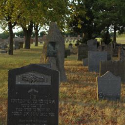 Der jüdische Friedhof